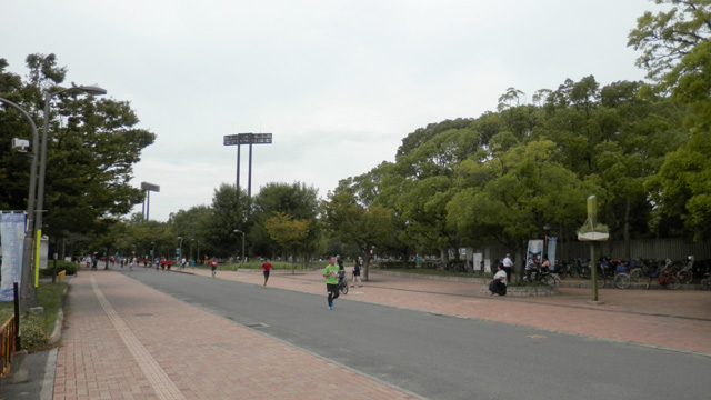 体験入学